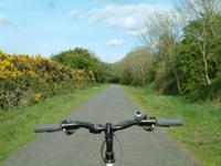 Cycle routes across Dartmoor.